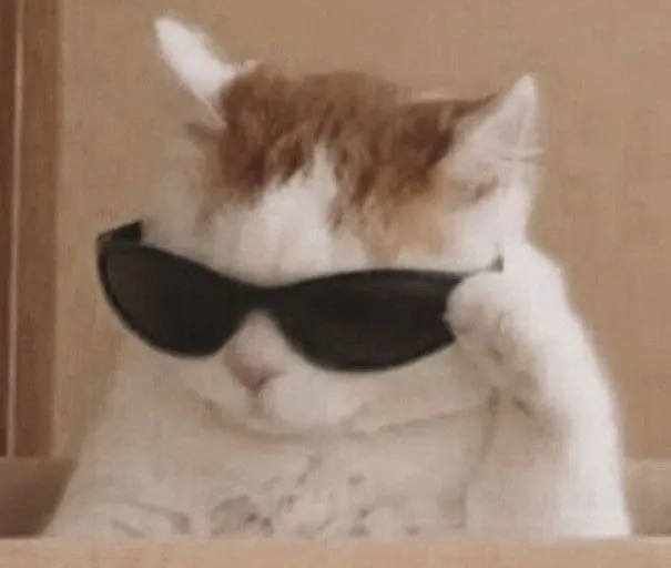 Profile Image of the Author